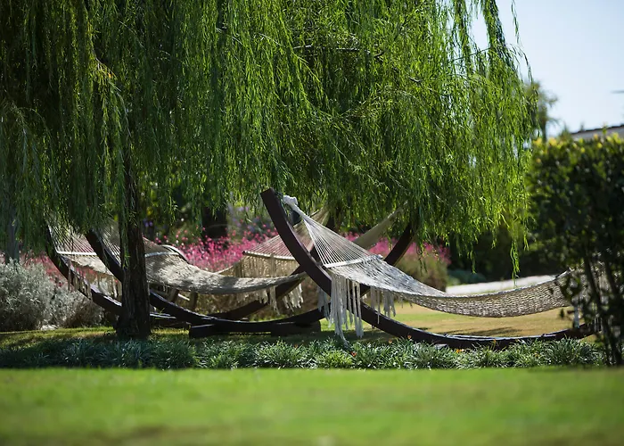 Tui Blue Xanthe منتجع Evrenseki