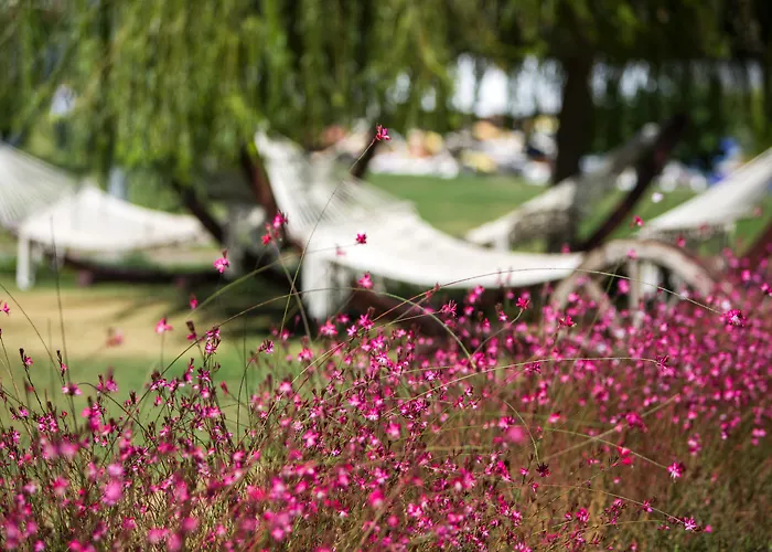 Tui Blue Xanthe אתר נופש